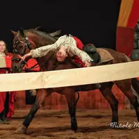 Haut - Royaume : L'héritier perdu, conte équestre médiéval &copy; Nicole Messer