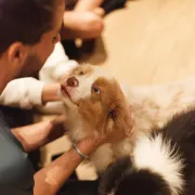 Puppy Yoga Therapy