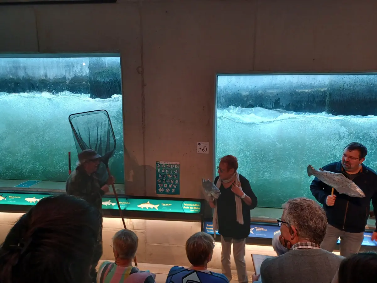 Théâtre Les deux saumons et le pêcheur