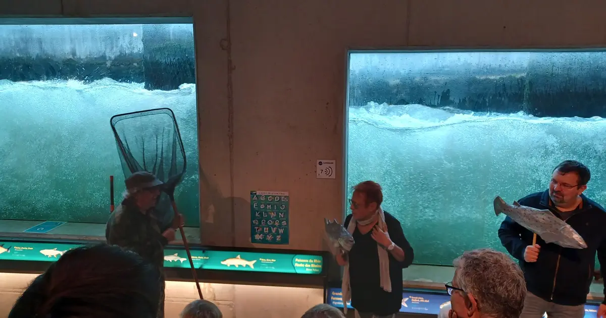 Théâtre "Les deux saumons et le pêcheur"