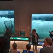 Théâtre Les deux saumons et le pêcheur