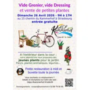 Vide grenier, vide dressing et vente de petites plantes