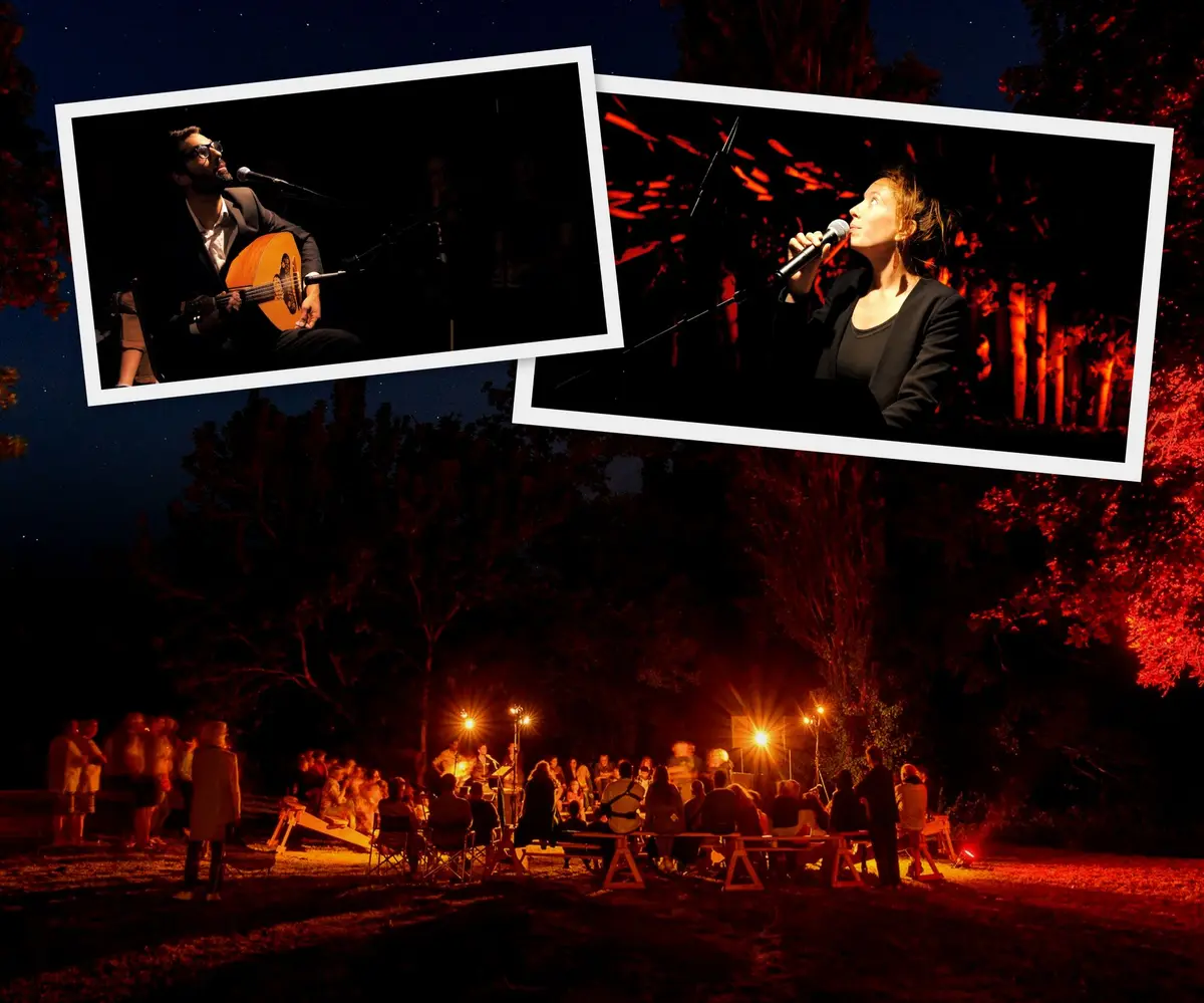 La Symphonie des chauves-souris