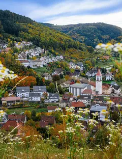 Ottenhöfen 