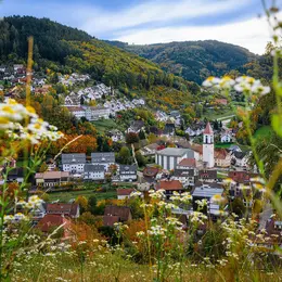 Ottenhöfen 