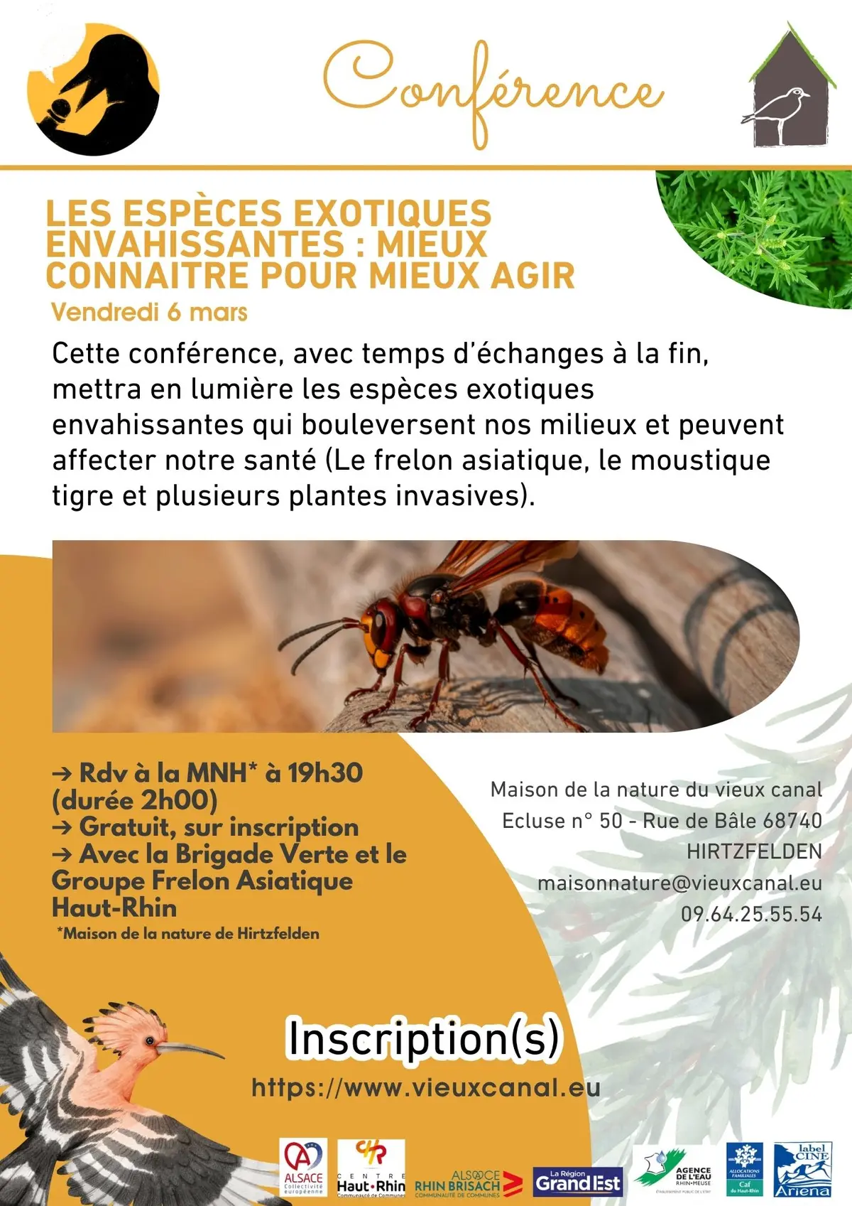 Conférence : Les espèces exotiques envahissantes,mieux connaitre pour mieux agir