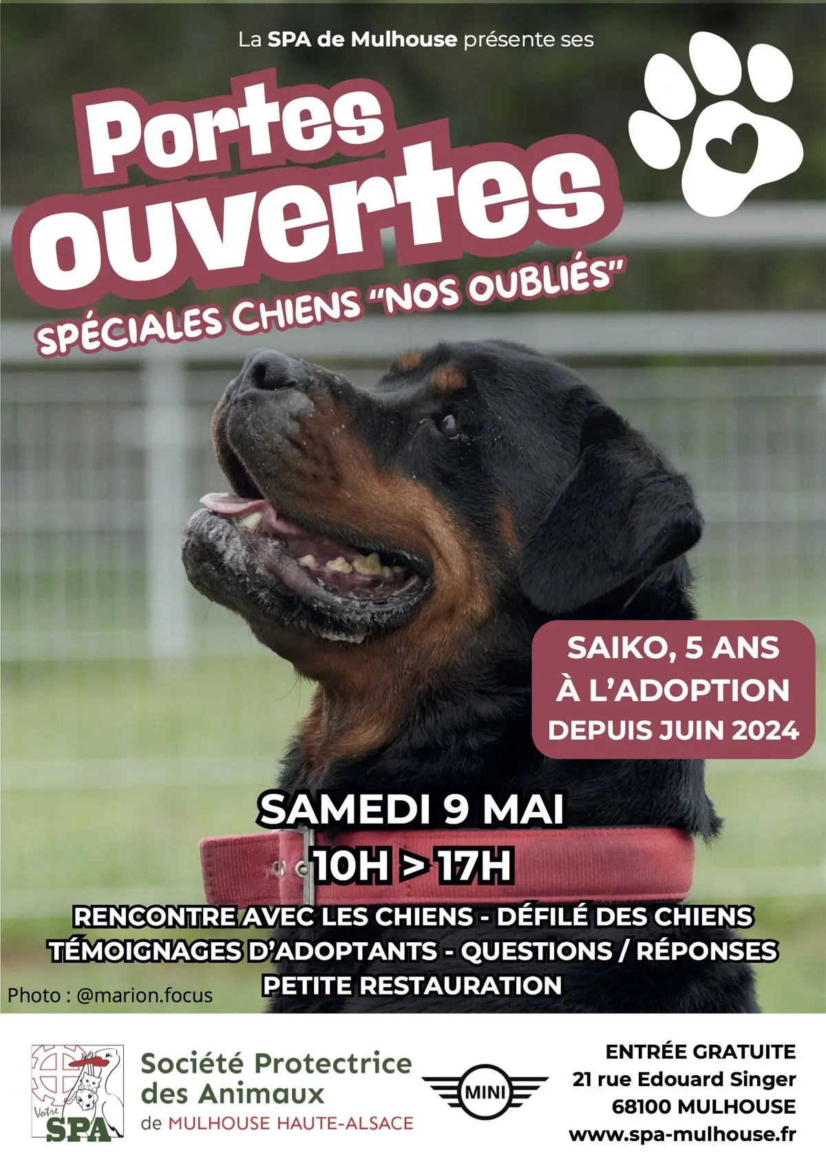 Portes ouvertes spéciales chiens nos oubliés à la SPA de Mulhouse