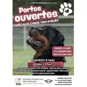 Portes ouvertes spéciales chiens nos oubliés à la SPA de Mulhouse