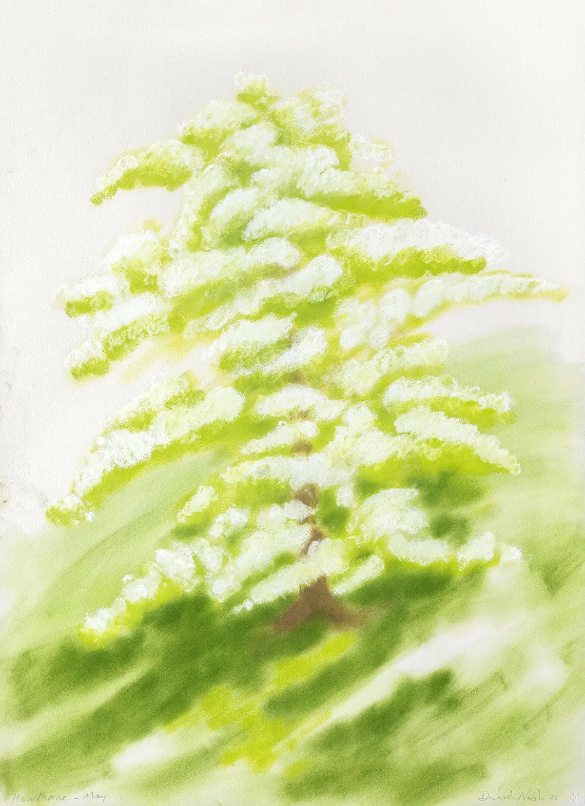 Paysages/Paysagistes