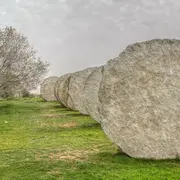 L’universel est-il partout ?