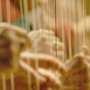 Festival Harpes d’Exil