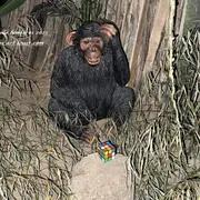 Le monde enchanté de la Ferme aux Mille Lumières 2025 à Fitilieu