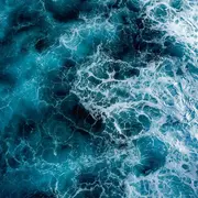 Comprendre l’acidification des océans