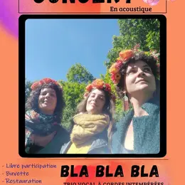 Concert acoustique