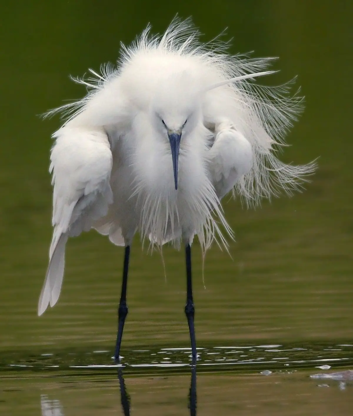 « Un oeil sur la Nature »