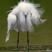 « Un oeil sur la Nature »