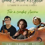 À l’ombre du quatuor à cordes LES GRANDS TRIOS À CORDES