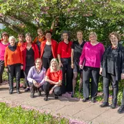 Concert  Quand vient la nuit