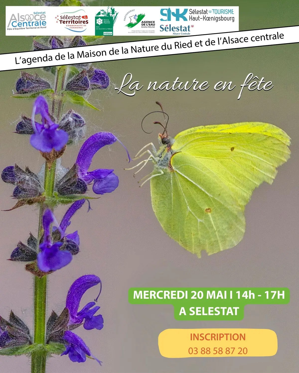 La nature en fête