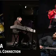 Candela Brazil Connection