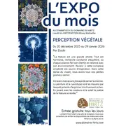 Perception végétale par Ziadis au Domaine du HIRTZ