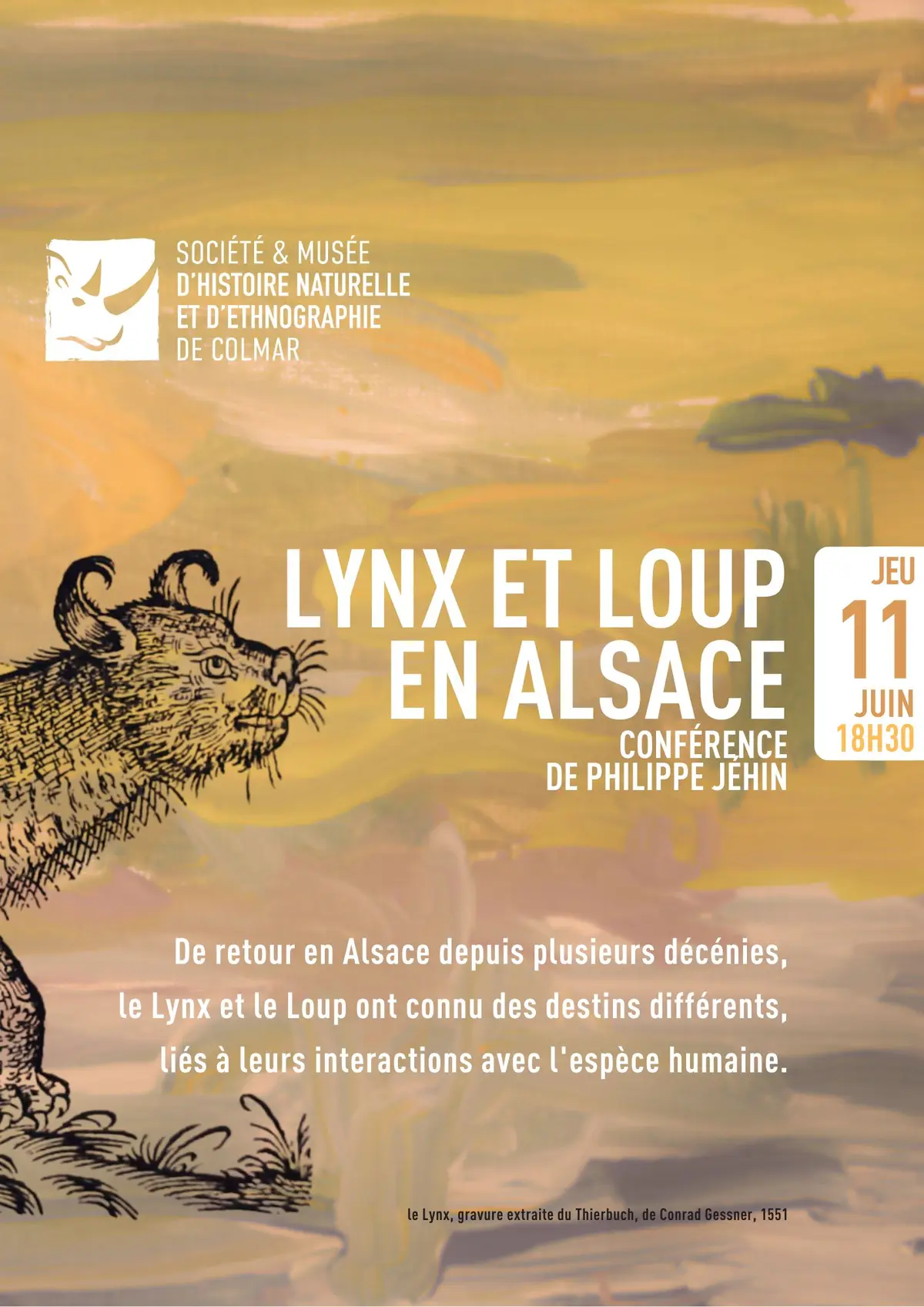 Lynx et loup en Alsace