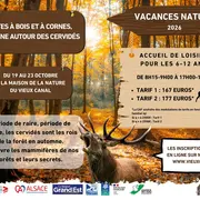 Bêtes à bois et à cornes, semaine autour des cervidés