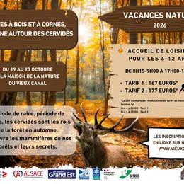 Bêtes à bois et à cornes, semaine autour des cervidés
