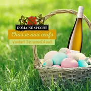 Chasse aux oeufs au Domaine Specht