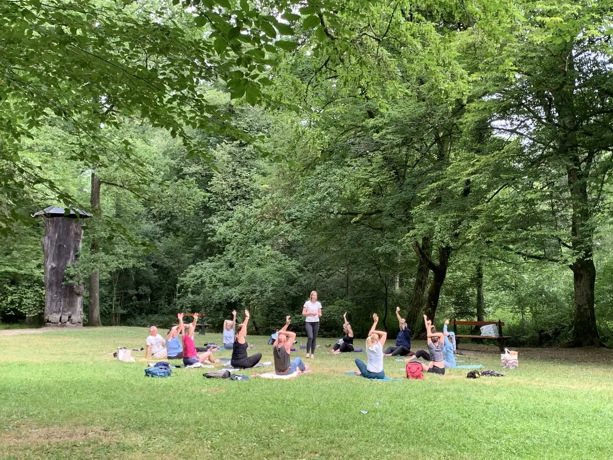 Yogarbre : Yoga en plein air & voyage sonore 