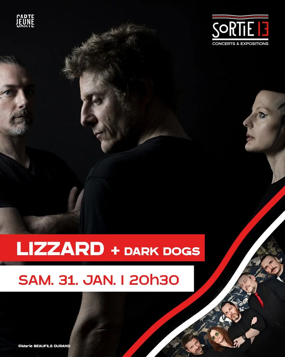 LIZZARD + Dark Dogs
