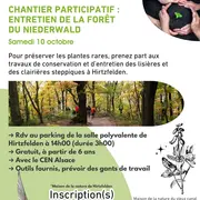 Chantier d’entretien de la forêt du Niederwald 
