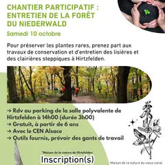 Chantier d’entretien de la forêt du Niederwald 