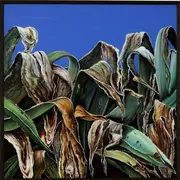 Mémoiore du Sud, Geneviève Garcia-Gallo