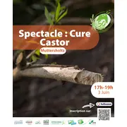Spectacle : Cure Castor