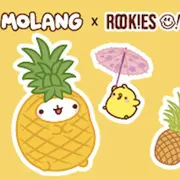 Molang débarque chez Rookies!