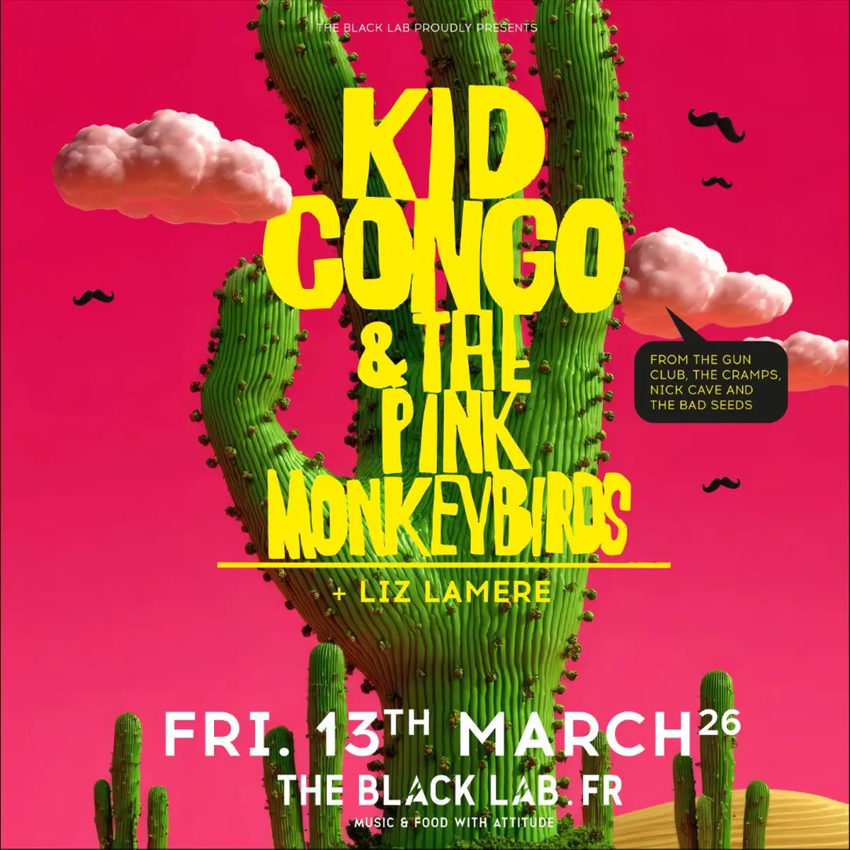 Kid Congo & The Pink Monkey Birds