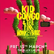 Kid Congo & The Pink Monkey Birds
