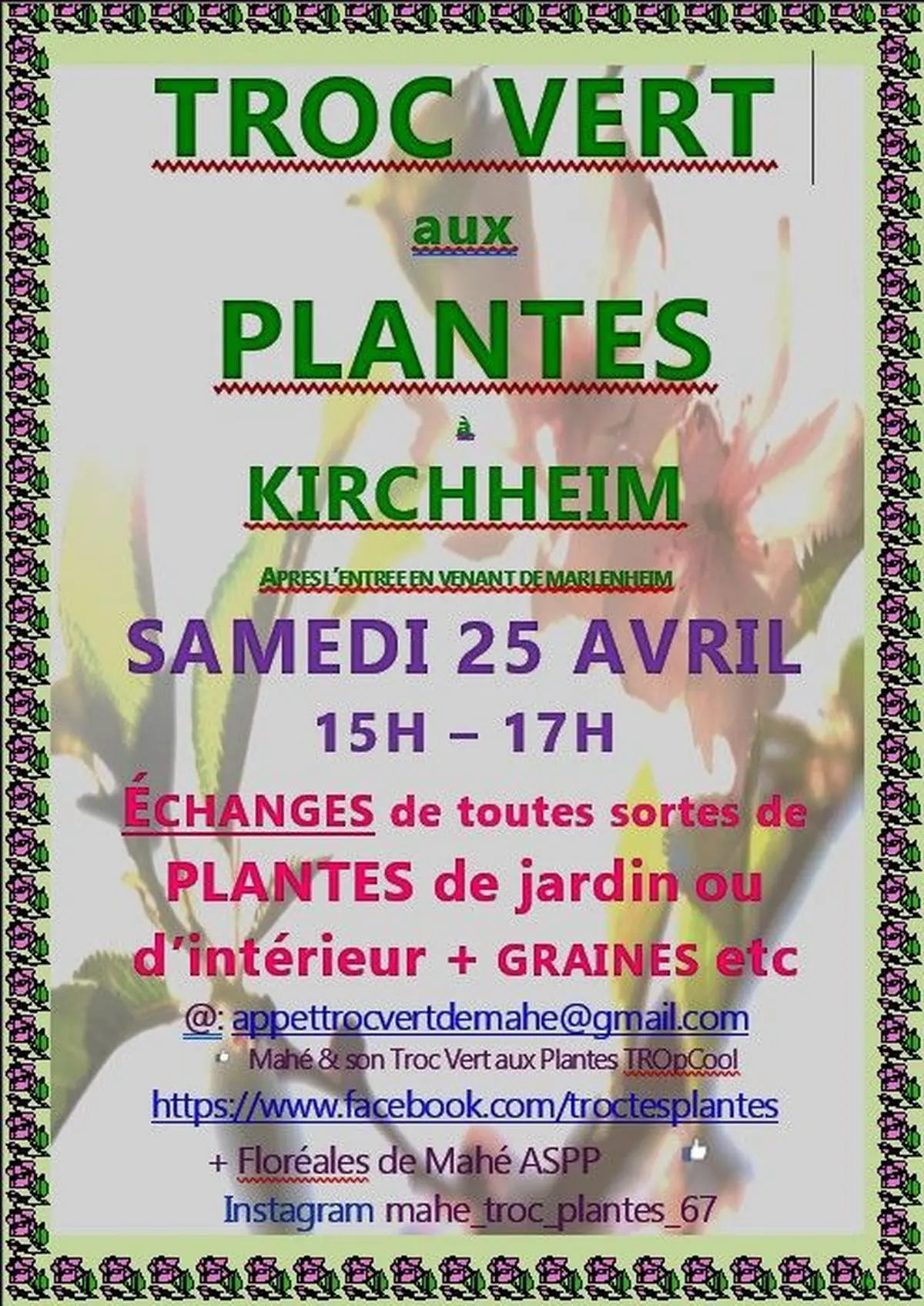 Troc vert aux plantes de Mahé 