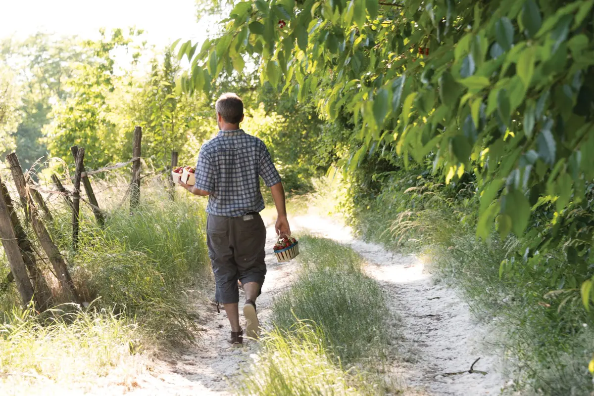 Ferme Obrecht : Saveurs et senteurs