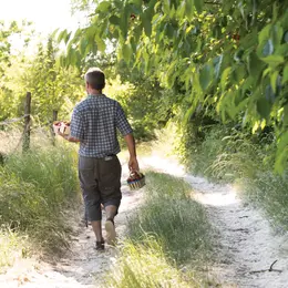 Ferme Obrecht : Saveurs et senteurs