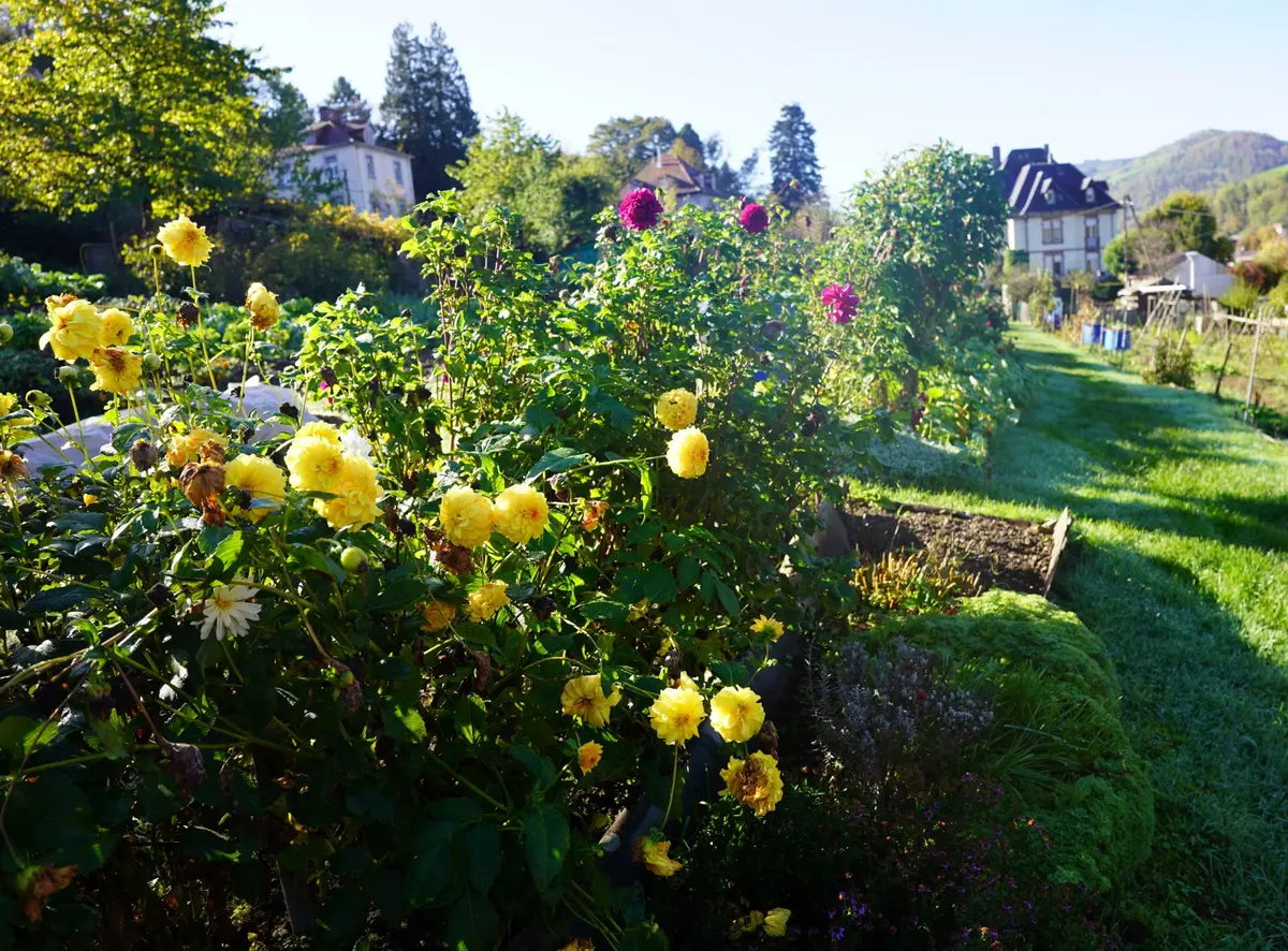 Les jardins de Sainte-Marie