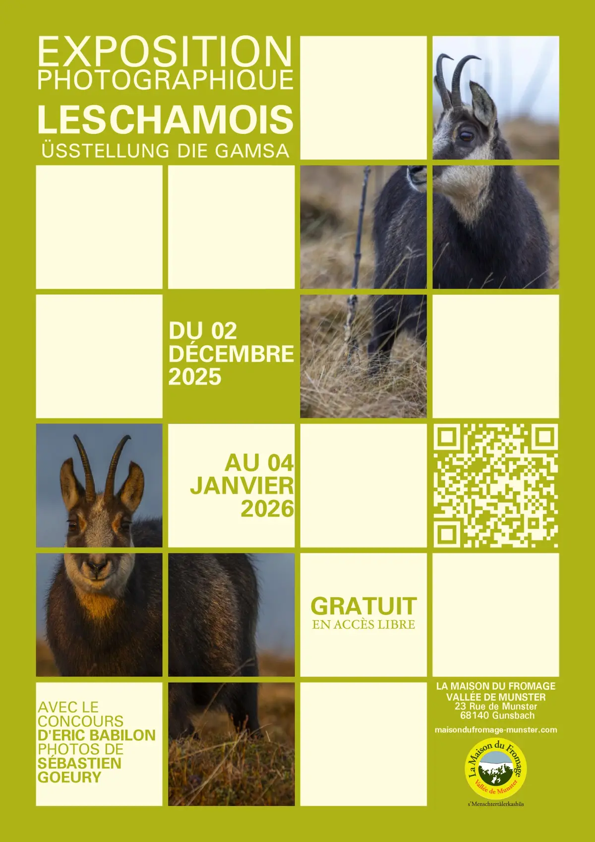 Exposition photographique : Les chamois