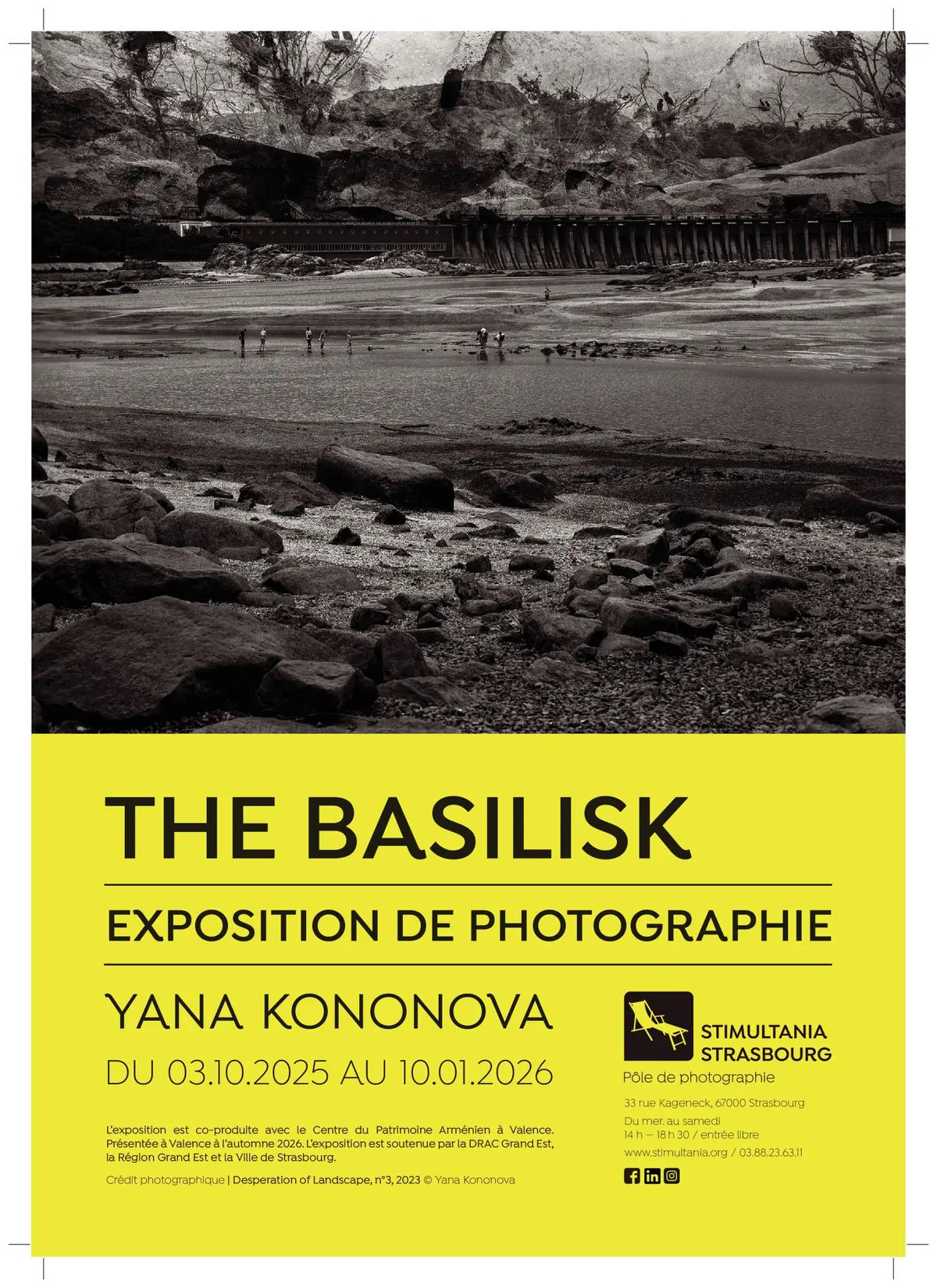 The Basilisk - Yana Kononova
