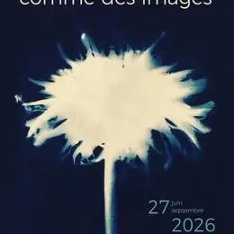 Festival de photographie « Comme des images »