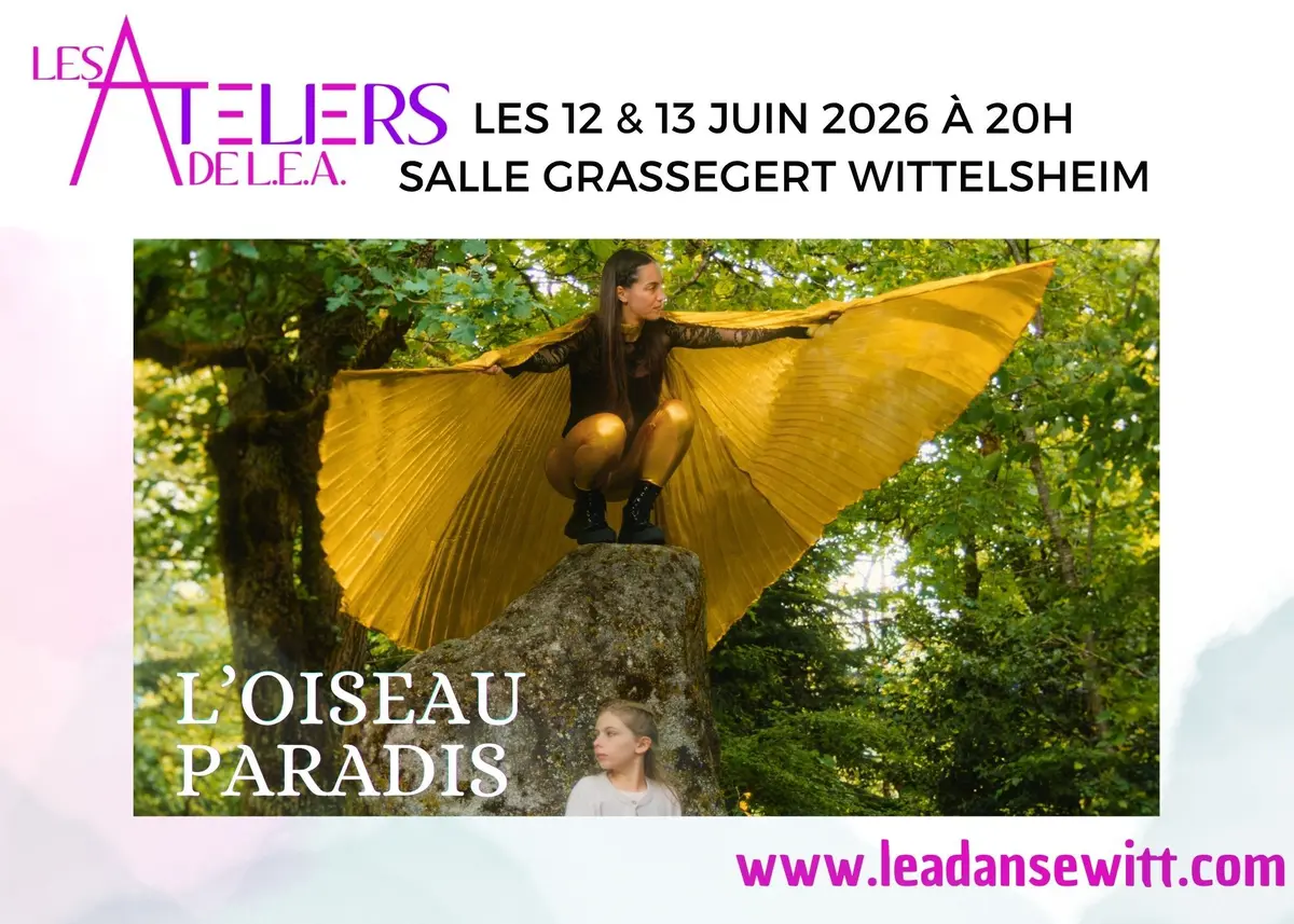 Oiseau Paradis