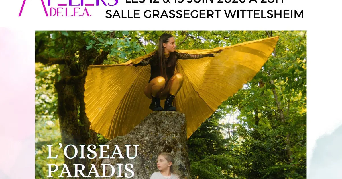 Oiseau Paradis
