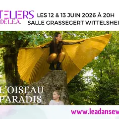 Oiseau Paradis