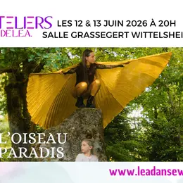 Oiseau Paradis