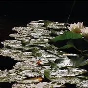 Exposition des photographies de Sadie Keller